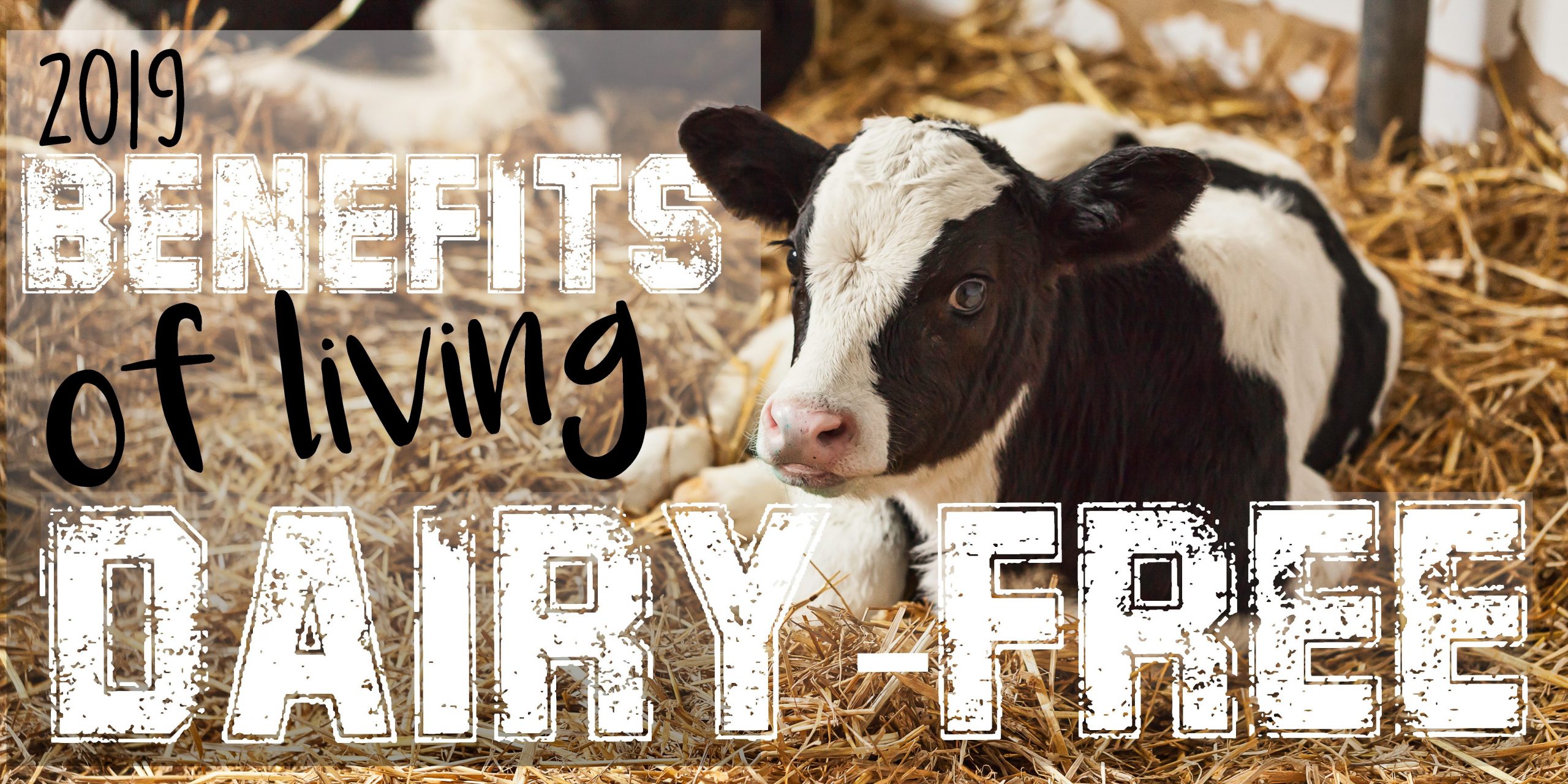 Benefits of living dairy free